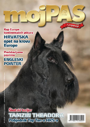 "Dora" on the KC Magazine cover