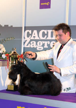 pictured with her handler Ante Lucin, photo DEYA